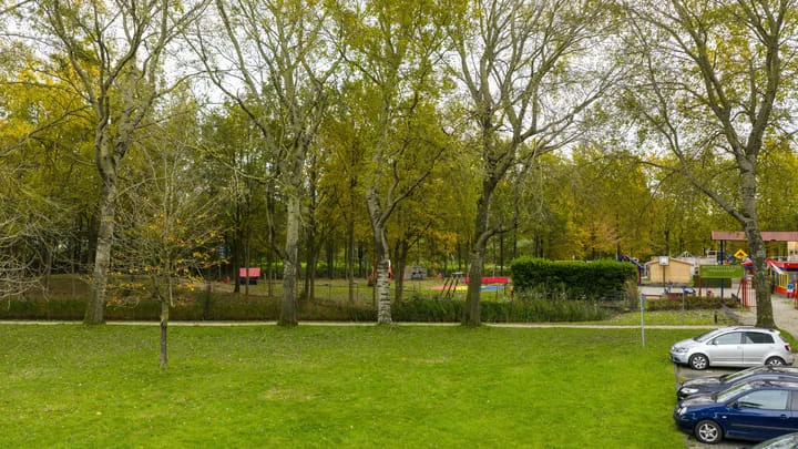 Tjaarda 378 Drachten thumbnail 37