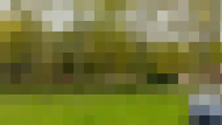 Tjaarda 378 Drachten thumbnail 37