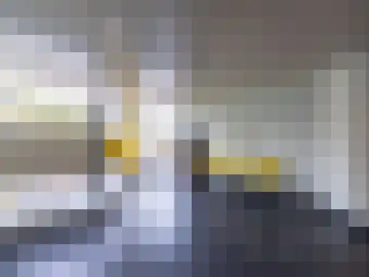 Tjaarda 378 Drachten thumbnail 4