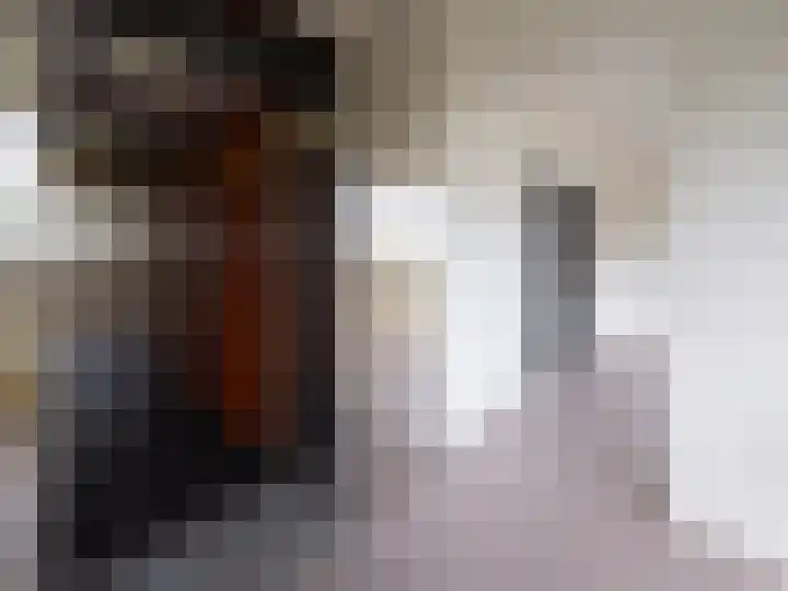 Tjaarda 378 Drachten thumbnail 5