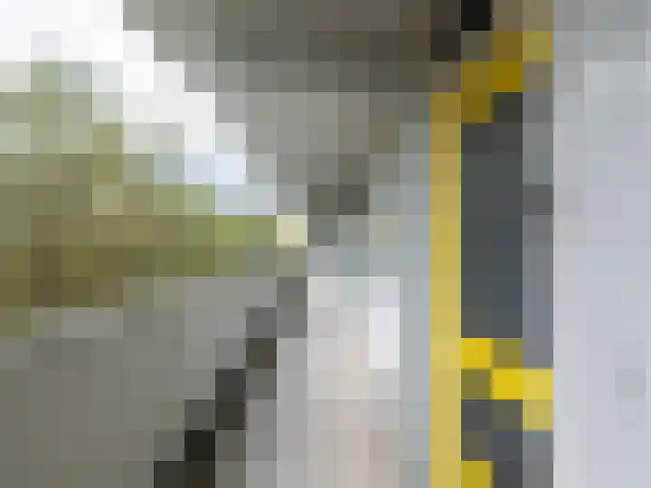 Tjaarda 378 Drachten thumbnail 6
