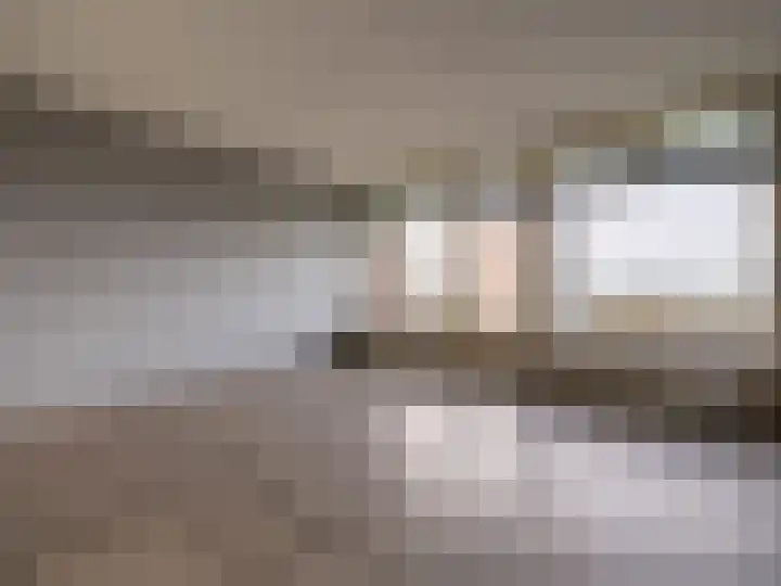 Tjaarda 378 Drachten thumbnail 8