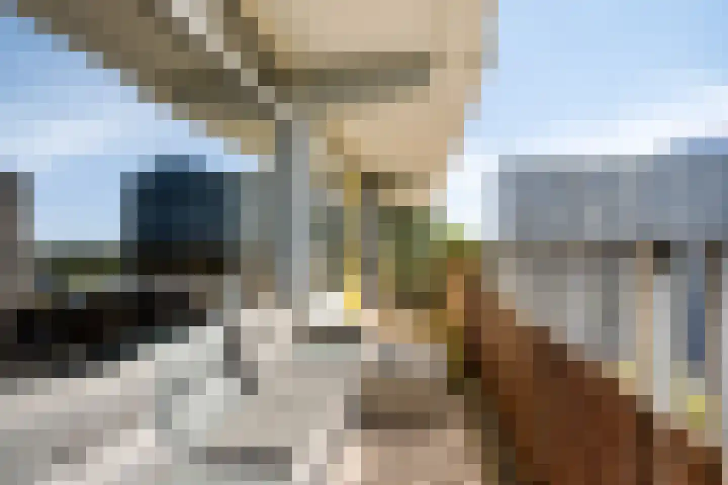 Tjaarda 382 Drachten thumbnail 17