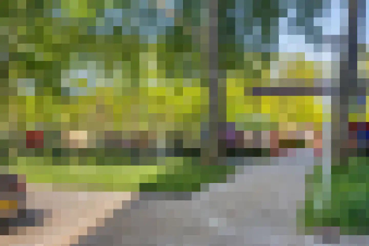 Tjaarda 382 Drachten thumbnail 20