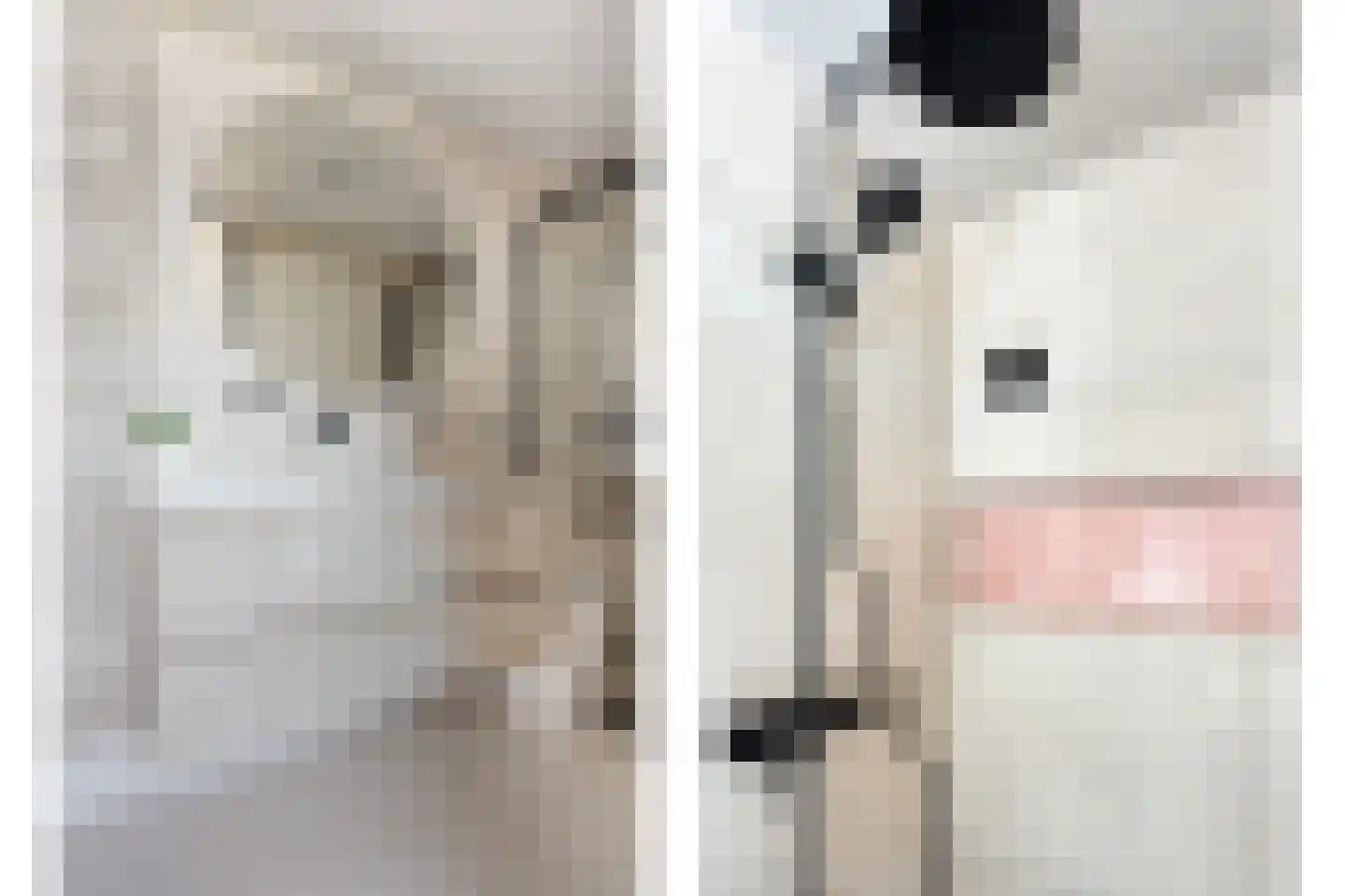 Tjaarda 382 Drachten foto 3