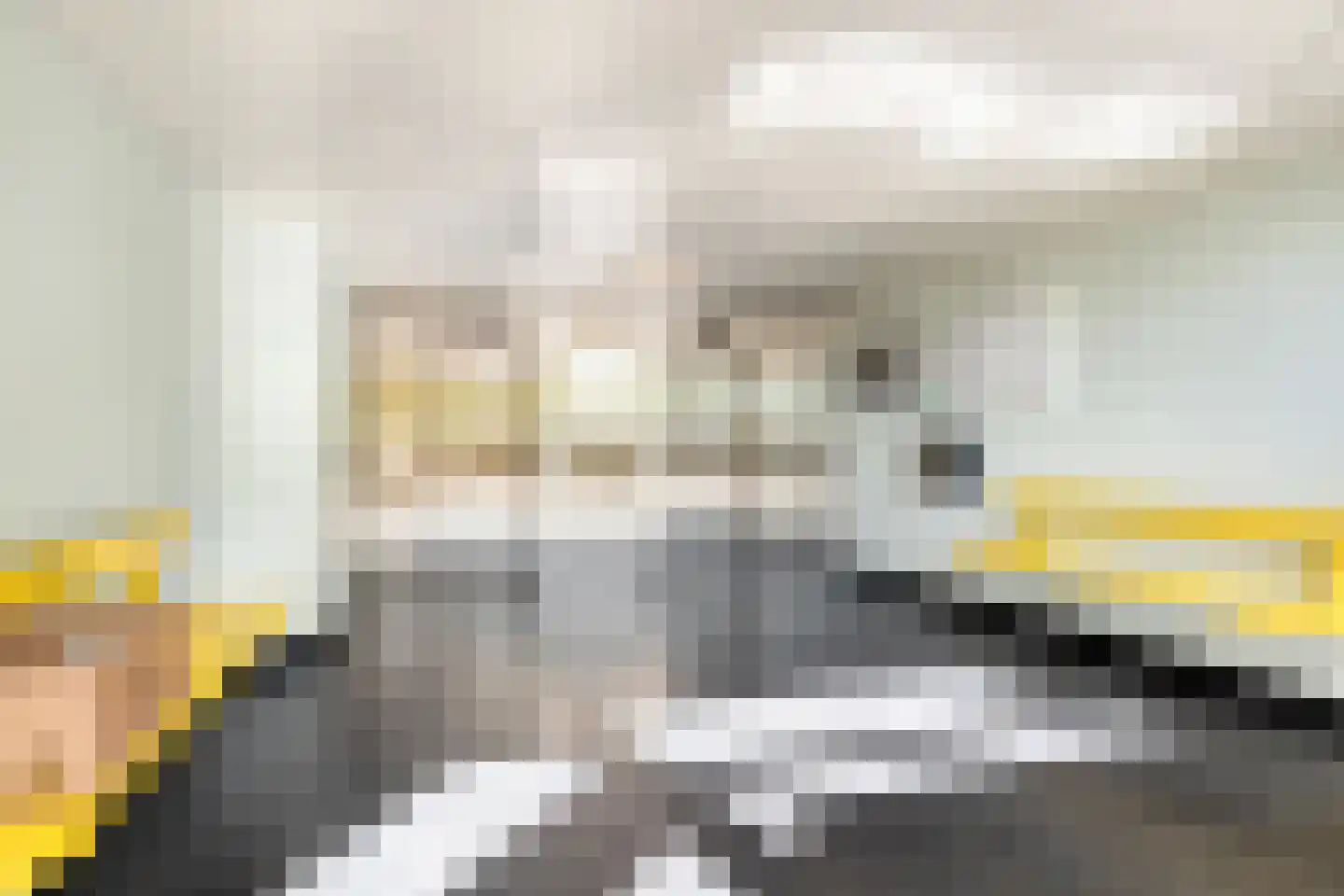 Tjaarda 382 Drachten thumbnail 6