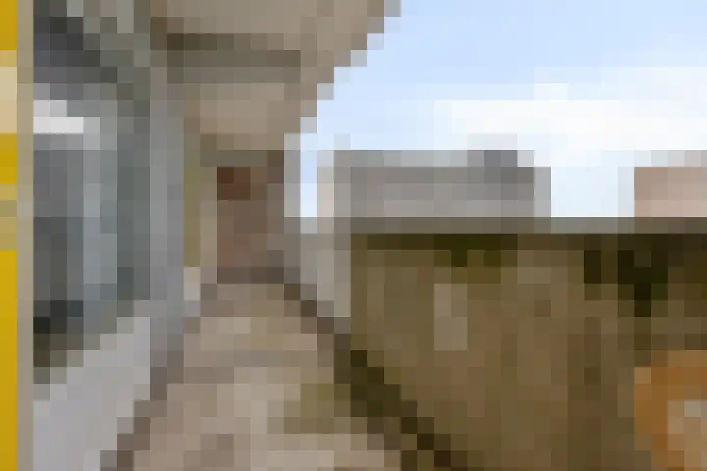 Tjaarda 392 Drachten thumbnail 18