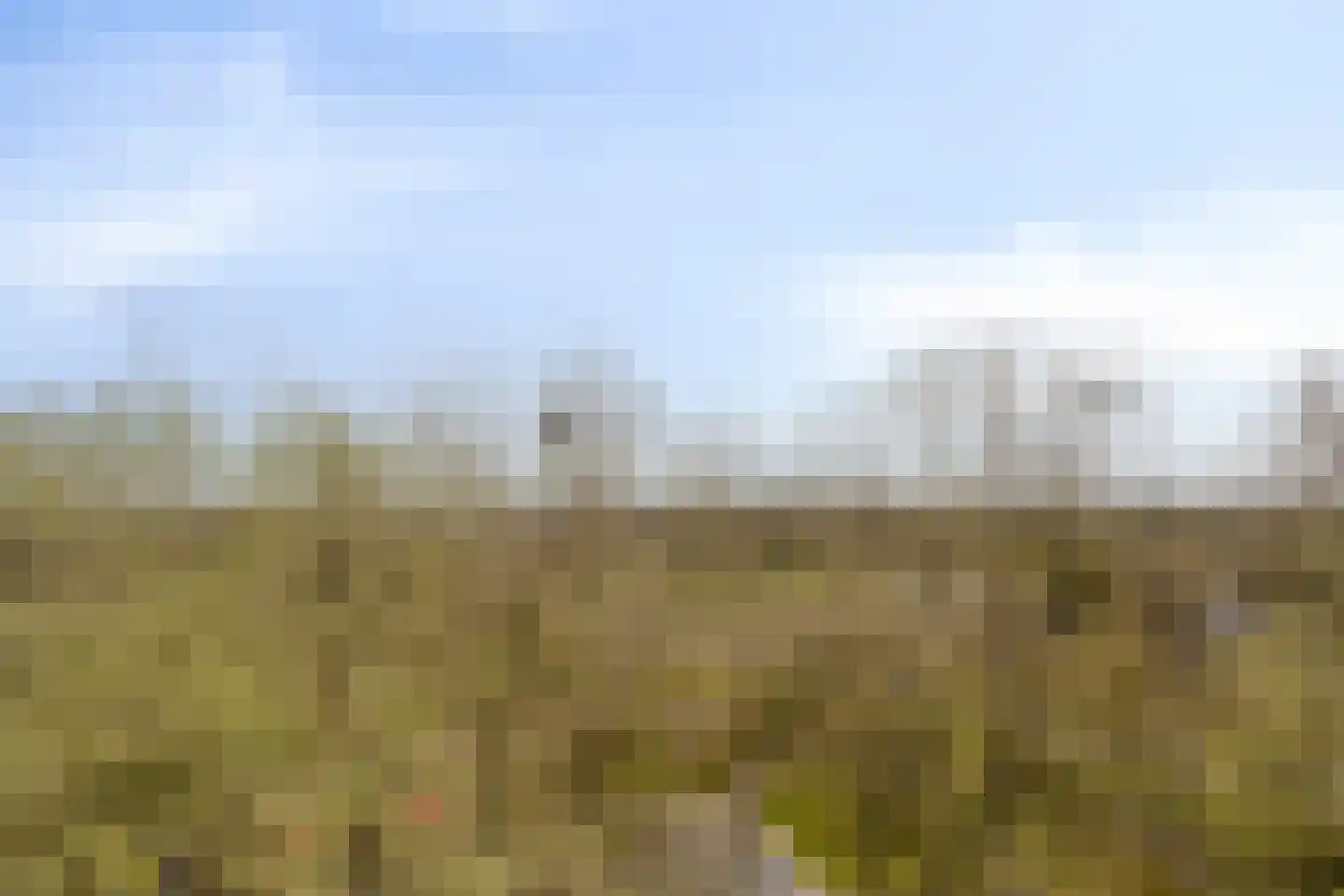 Tjaarda 392 Drachten thumbnail 26