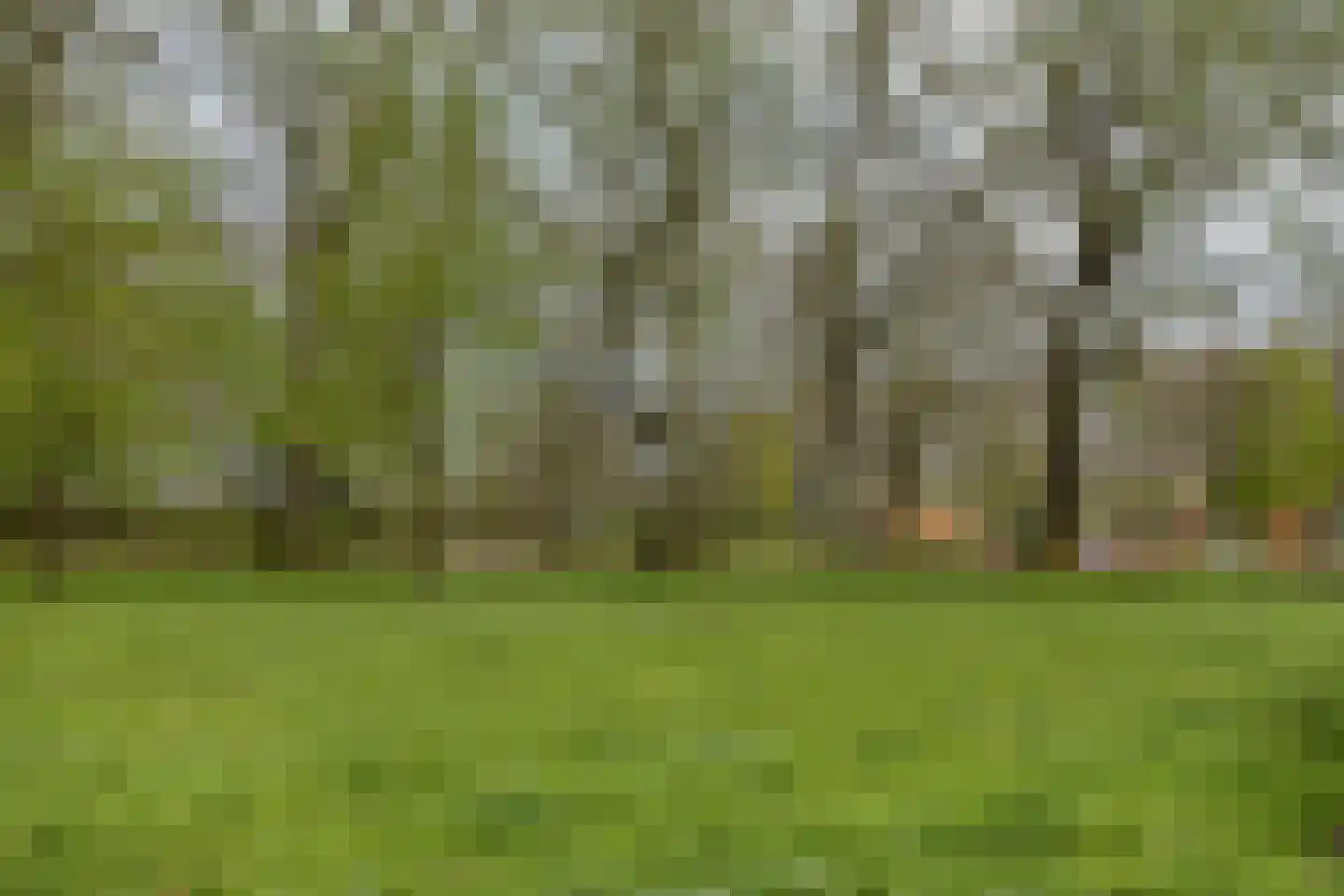 Tjaarda 392 Drachten thumbnail 27