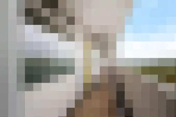 Tjaarda 400 Drachten thumbnail 10