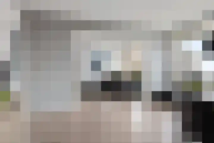 Tjaarda 400 Drachten thumbnail 15