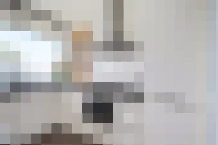 Tjaarda 400 Drachten thumbnail 22
