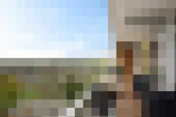 Tjaarda 400 Drachten thumbnail 32