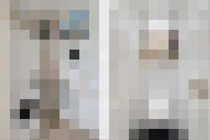 Tjaarda 400 Drachten thumbnail 33
