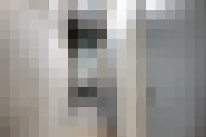 Tjaarda 400 Drachten thumbnail 34