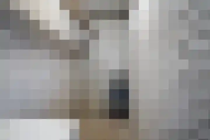 Tjaarda 400 Drachten thumbnail 35