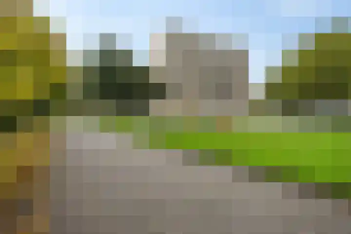 Tjaarda 400 Drachten thumbnail 4