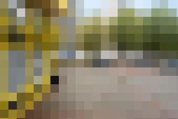 Tjaarda 400 Drachten thumbnail 6