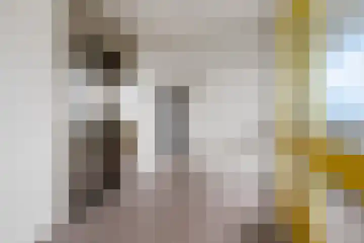 Tjaarda 400 Drachten thumbnail 8