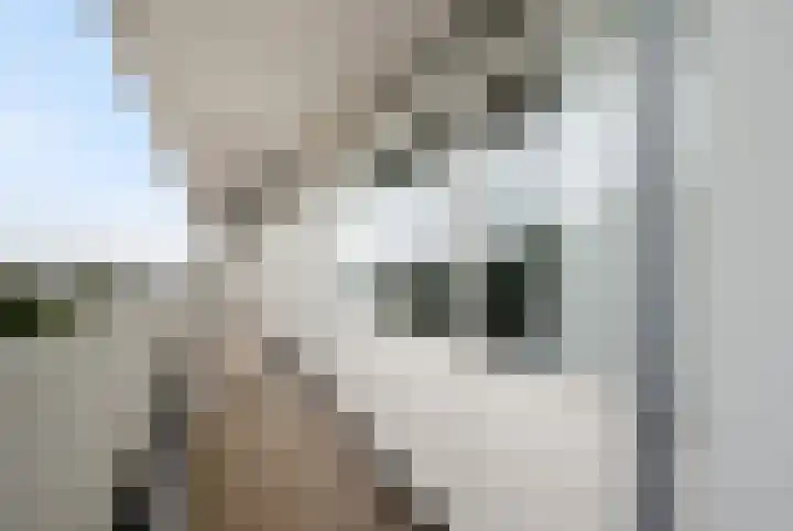 Tjaarda 400 Drachten thumbnail 9