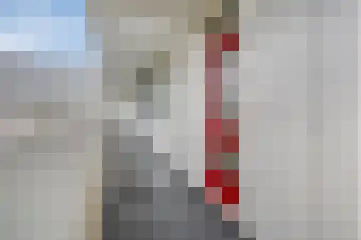 Tjaarda 42 Drachten thumbnail 12