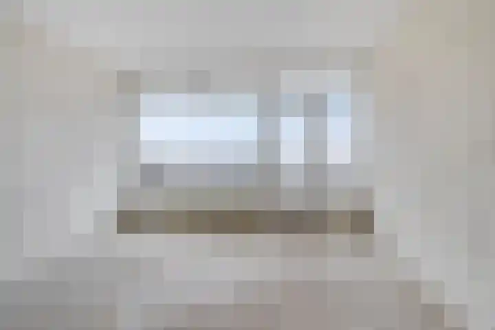 Tjaarda 42 Drachten thumbnail 17