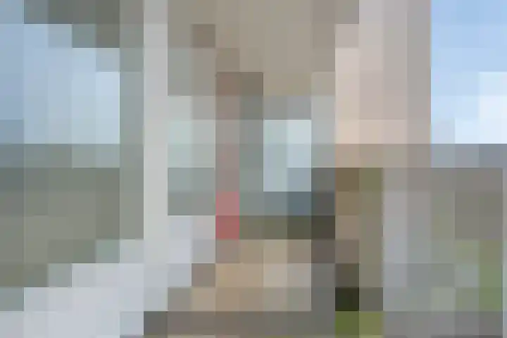 Tjaarda 42 Drachten thumbnail 31