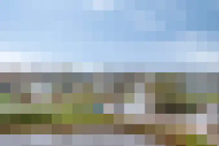 Tjaarda 42 Drachten thumbnail 32