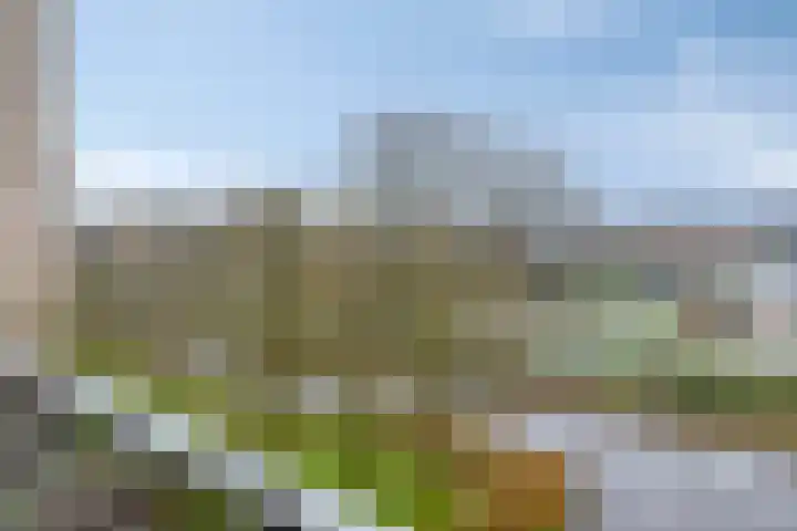 Tjaarda 42 Drachten thumbnail 33