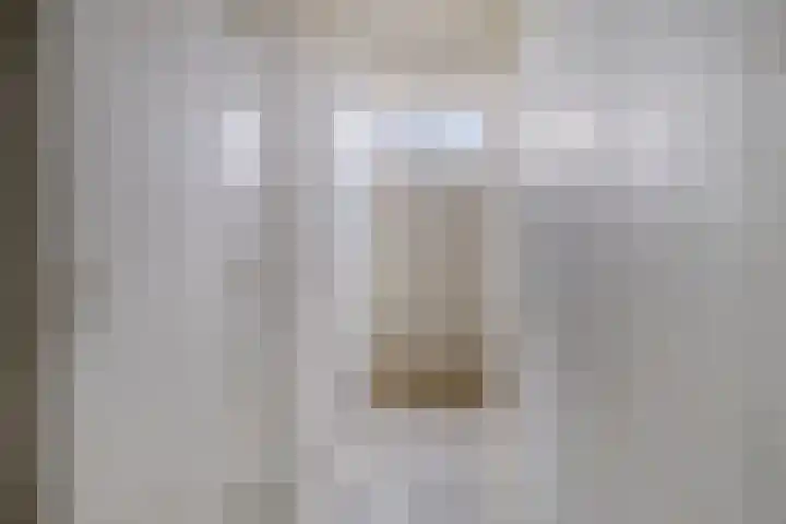 Tjaarda 42 Drachten thumbnail 34
