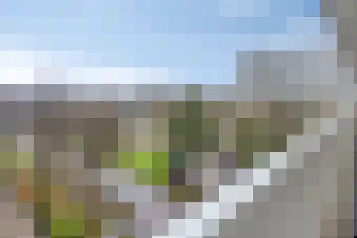 Tjaarda 42 Drachten thumbnail 38
