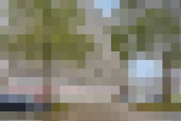 Tjaarda 42 Drachten thumbnail 4