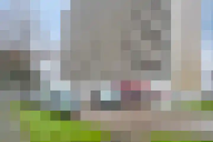 Tjaarda 42 Drachten thumbnail 6