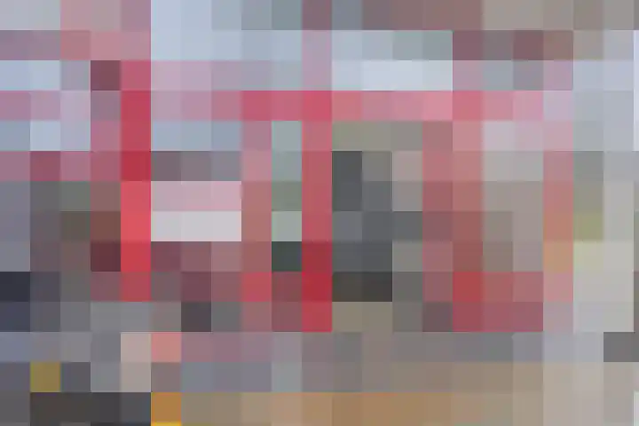 Tjaarda 42 Drachten thumbnail 7