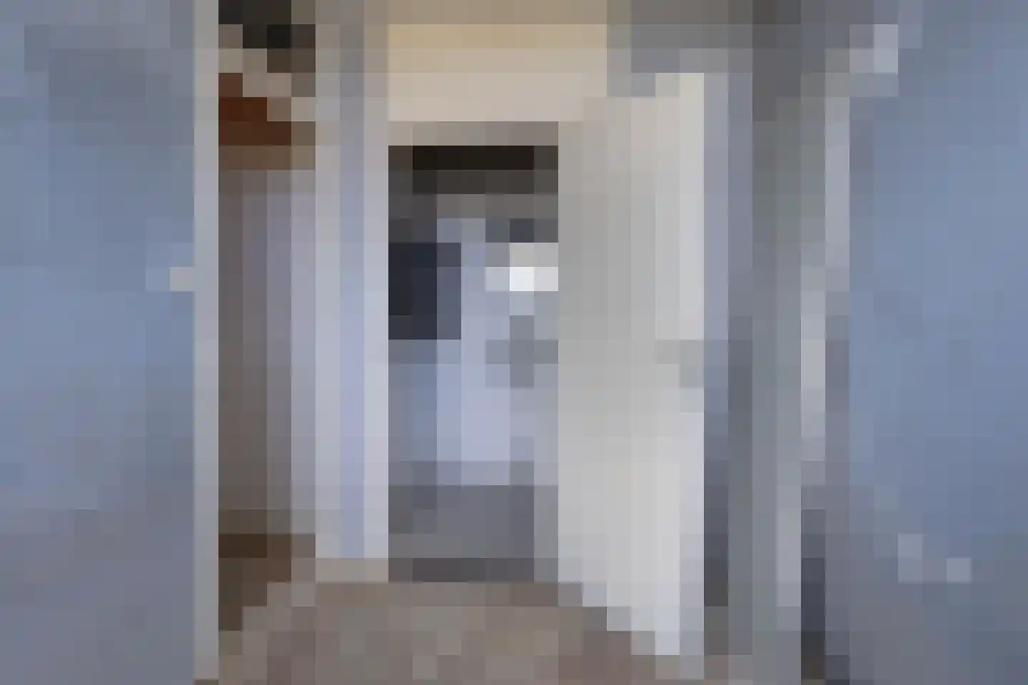 Tjaarda 434 Drachten thumbnail 18