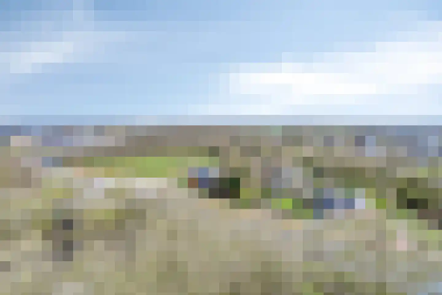 Tjaarda 434 Drachten thumbnail 26