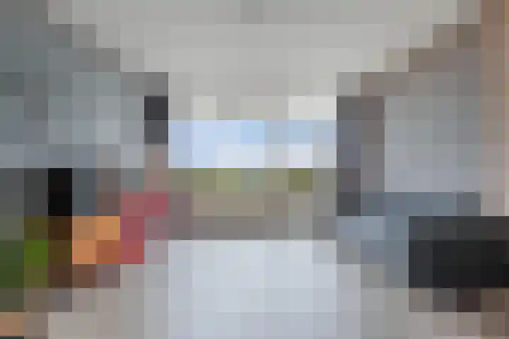 Tjaarda 54 Drachten thumbnail 12