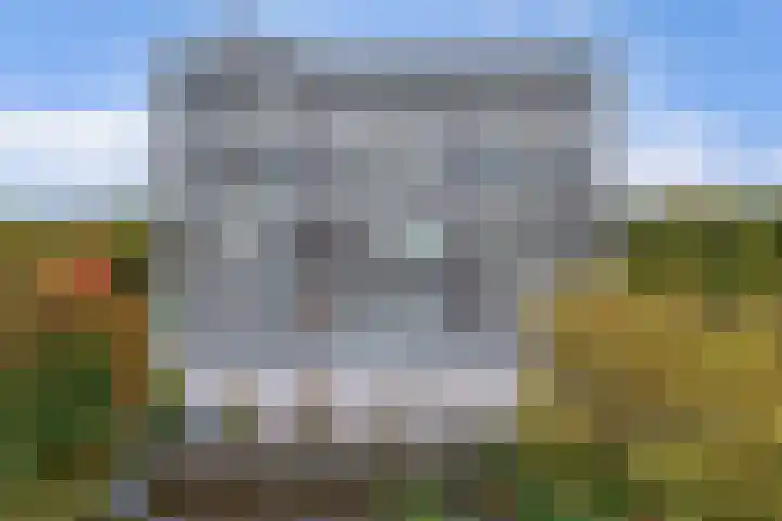 Tjaarda 54 Drachten thumbnail 4