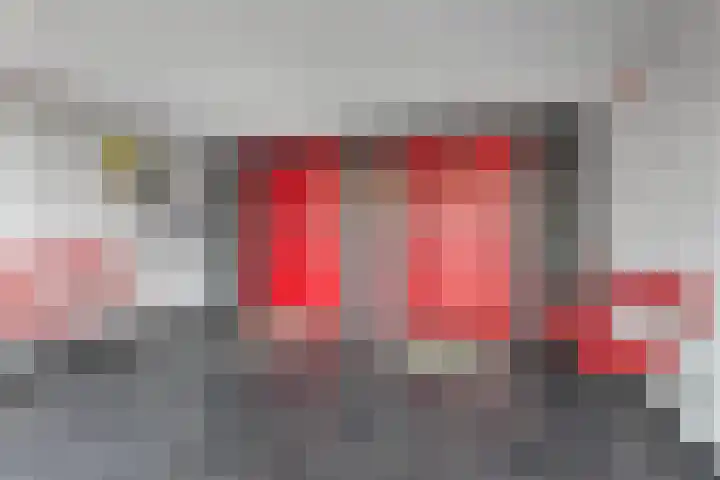 Tjaarda 54 Drachten thumbnail 7