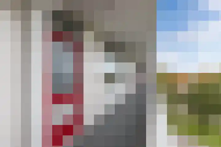 Tjaarda 54 Drachten thumbnail 8