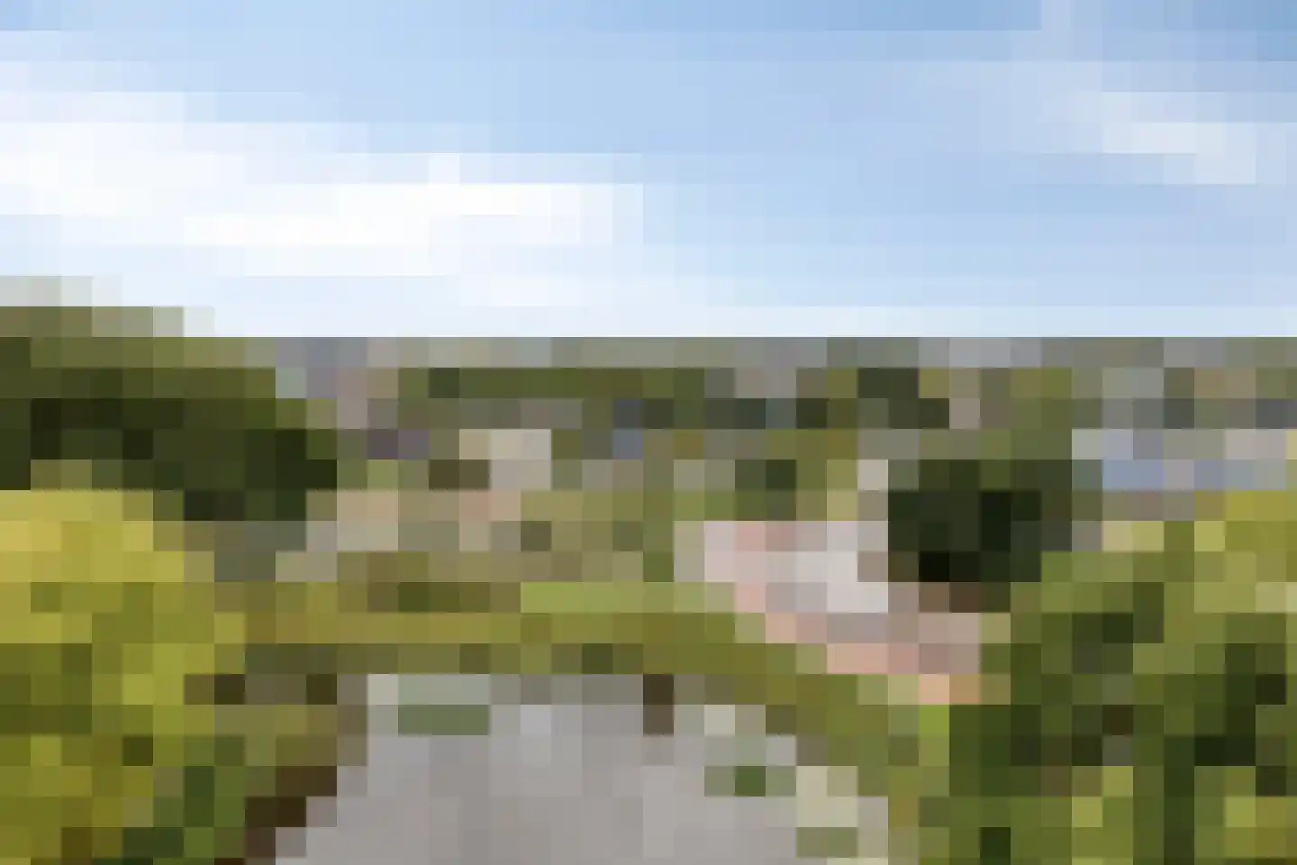 Tjaarda 76 Drachten thumbnail 16