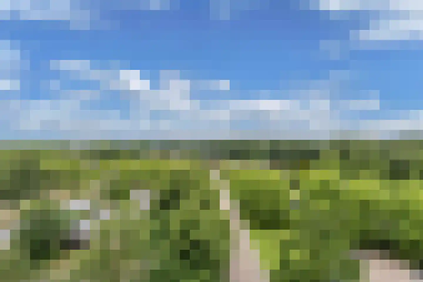 Tjaarda 80 Drachten thumbnail 11