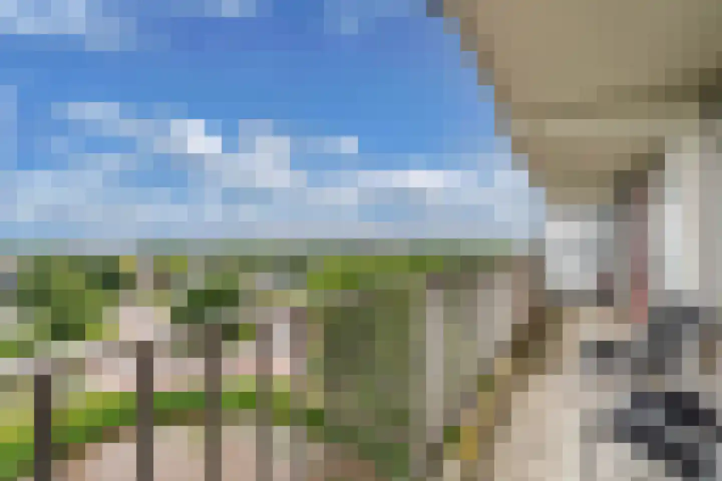 Tjaarda 80 Drachten thumbnail 5