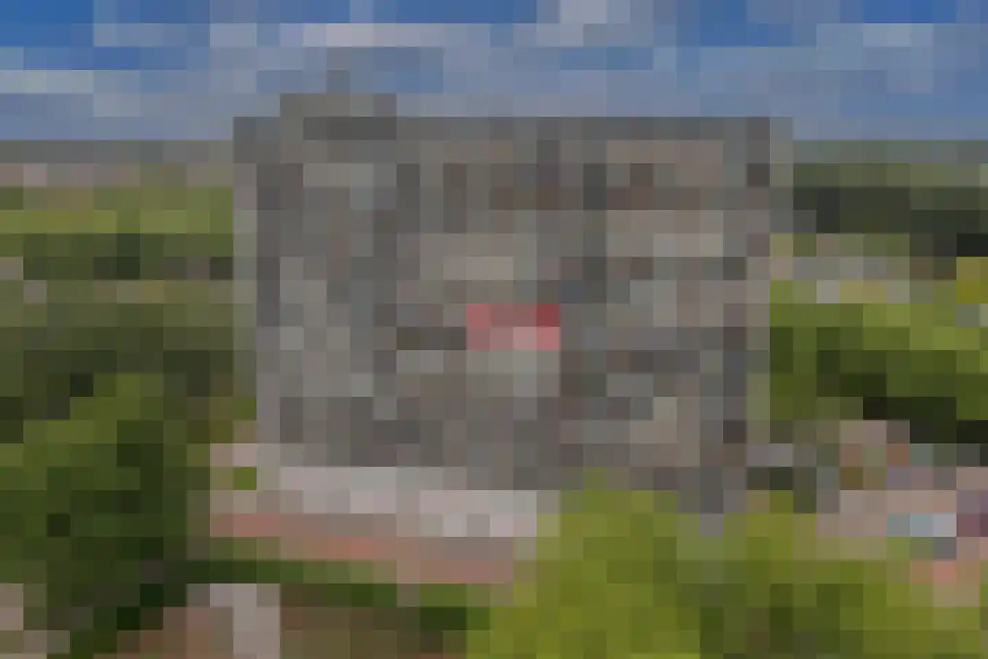 Tjaarda 80 Drachten thumbnail 6