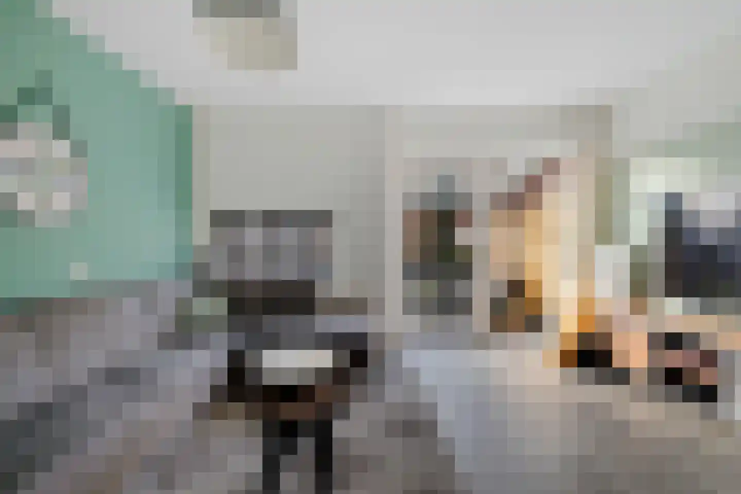 Tjaardastate 1 Leeuwarden thumbnail 12