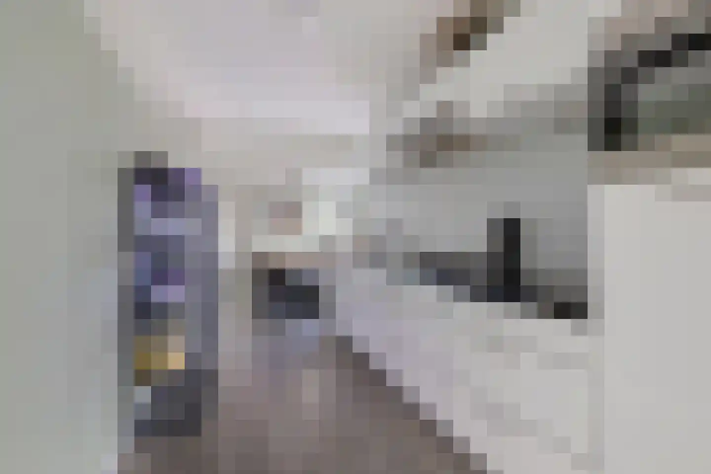 Tjaardastate 1 Leeuwarden thumbnail 15