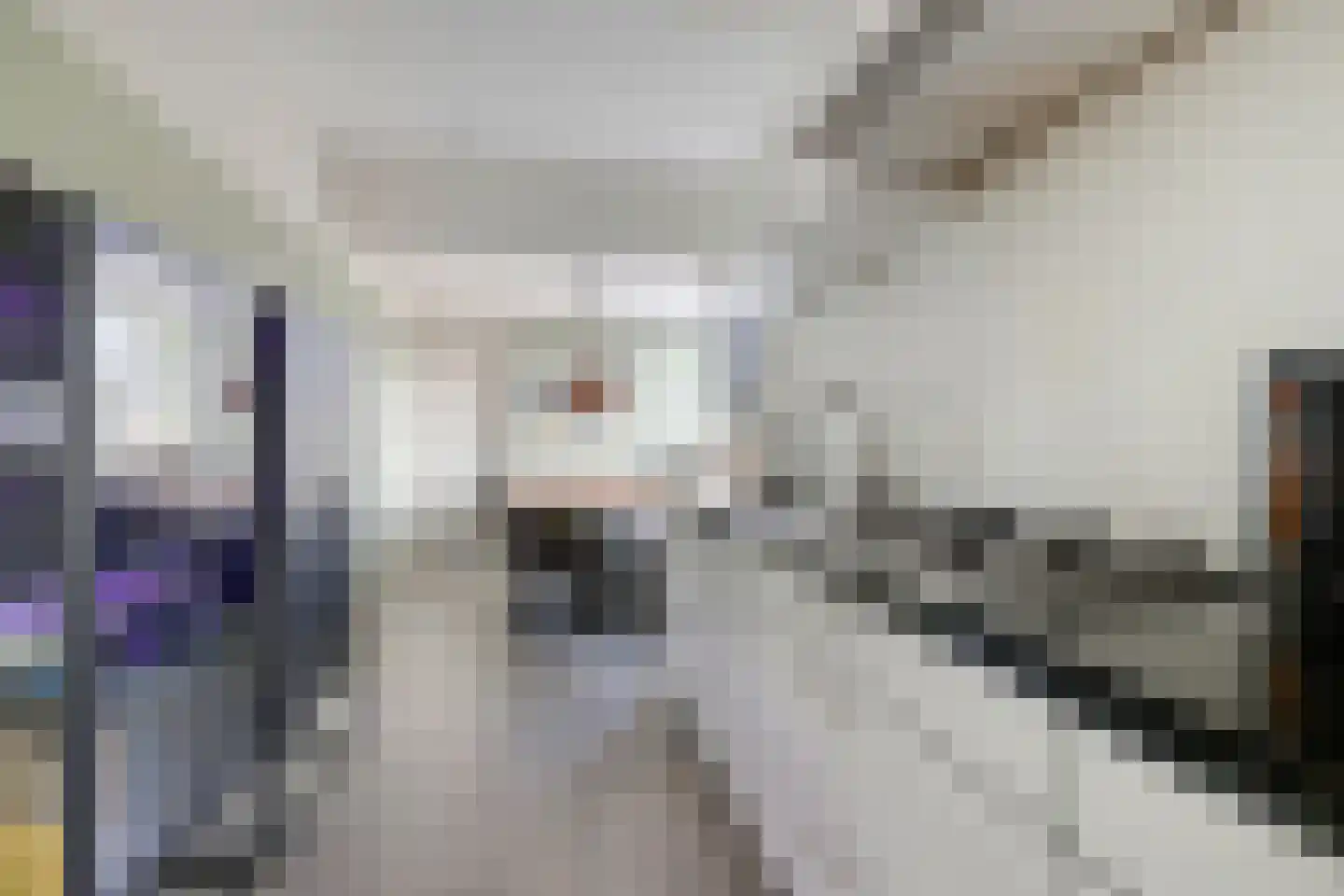 Tjaardastate 1 Leeuwarden thumbnail 16