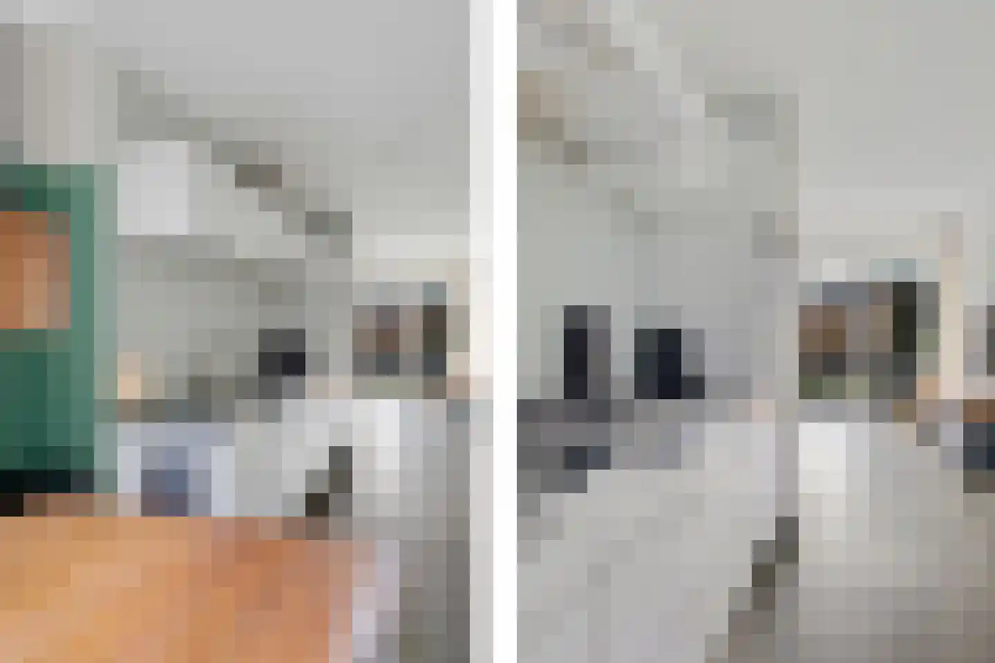 Tjaardastate 1 Leeuwarden thumbnail 17