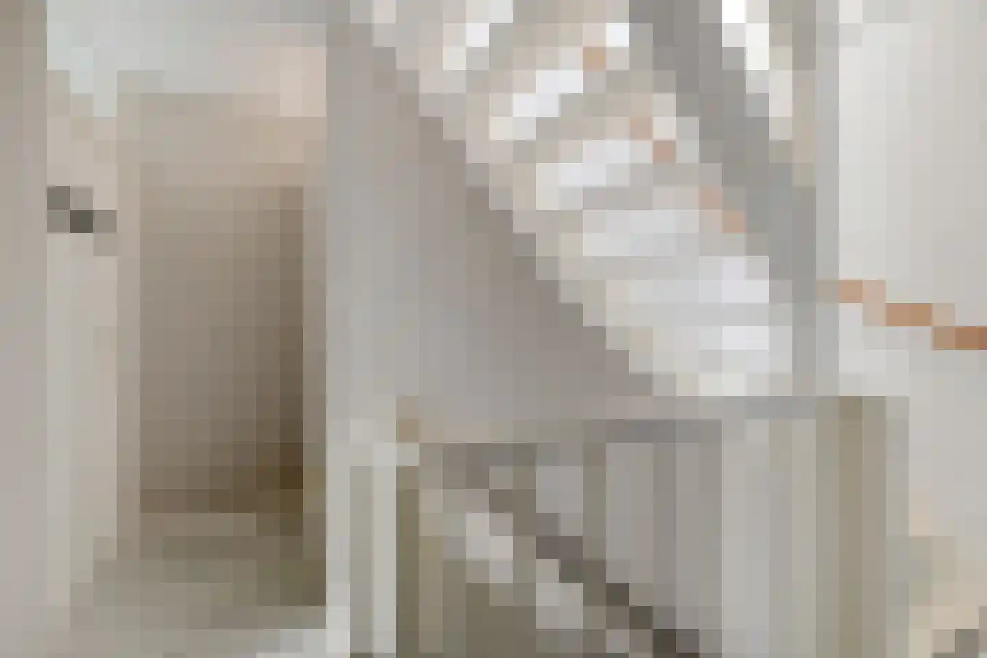 Tjaardastate 1 Leeuwarden thumbnail 20