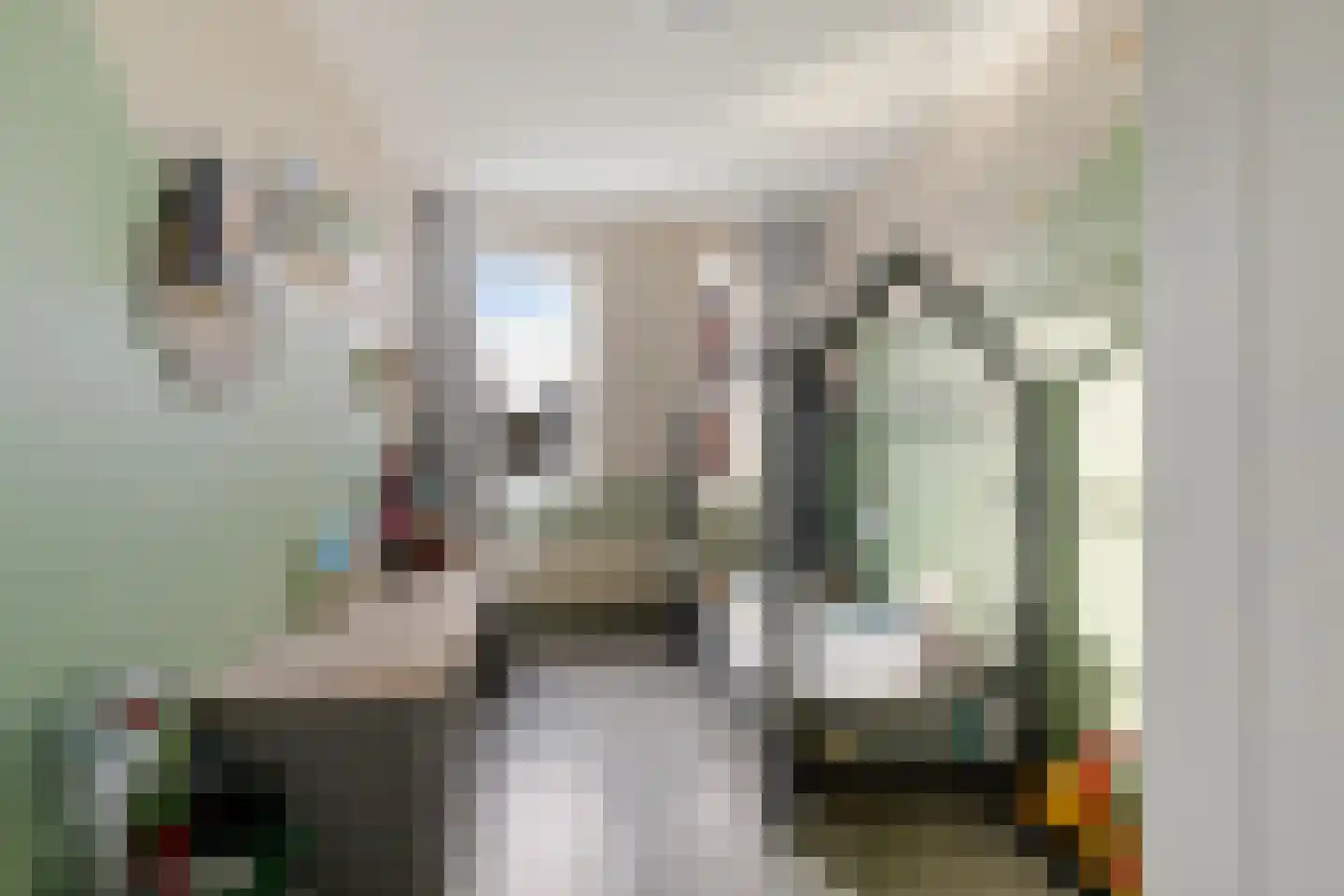 Tjaardastate 1 Leeuwarden thumbnail 21
